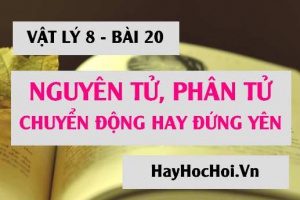 Nguyên tử, Phân tử chuyển động hay đứng yên: Thí nghiệm BƠ RAO là gì? hãy mô tả - Vật lý 8 bài 20